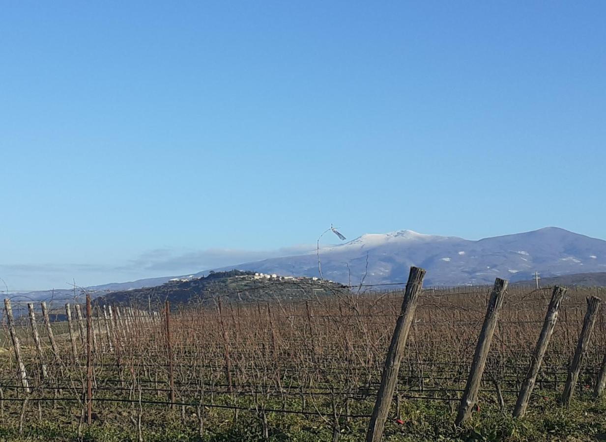Montenero d'Orcia Castelvecchio B&B מראה חיצוני תמונה